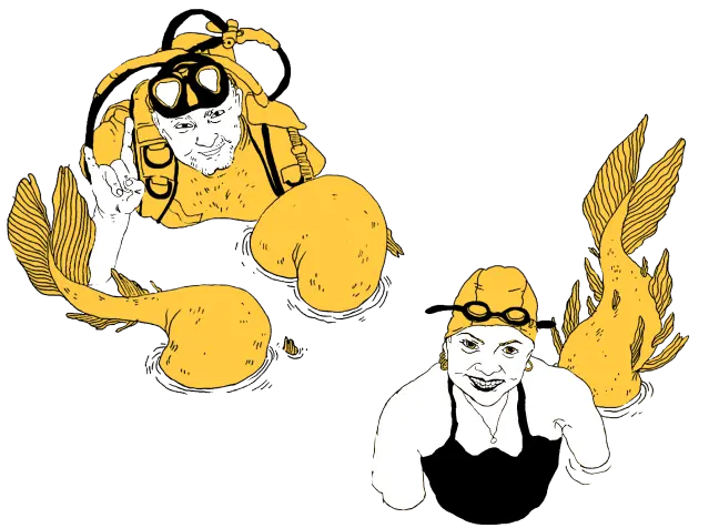 ilustracja