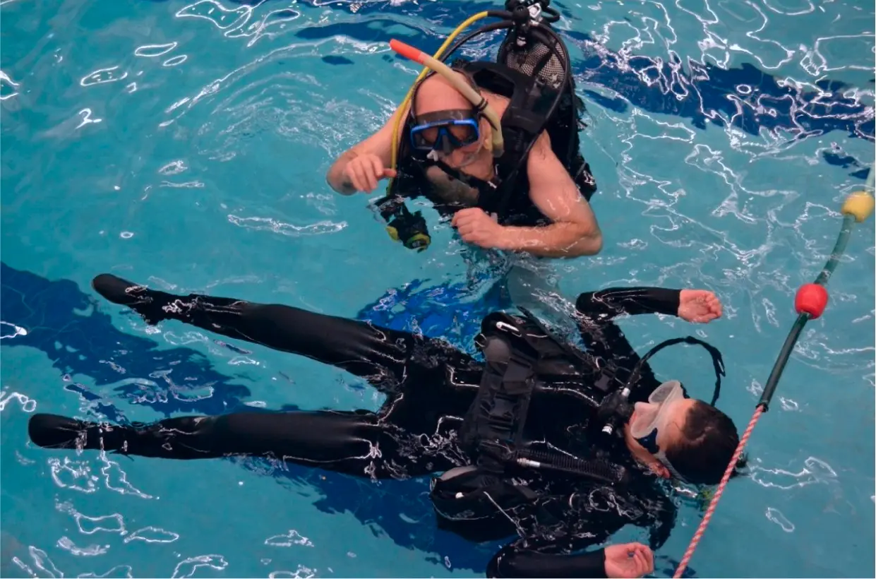 zdjecie